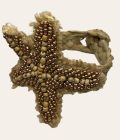 Starfish Bracelet Bronze - Afbeelding 2