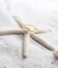 Ring Single Stone Gold White