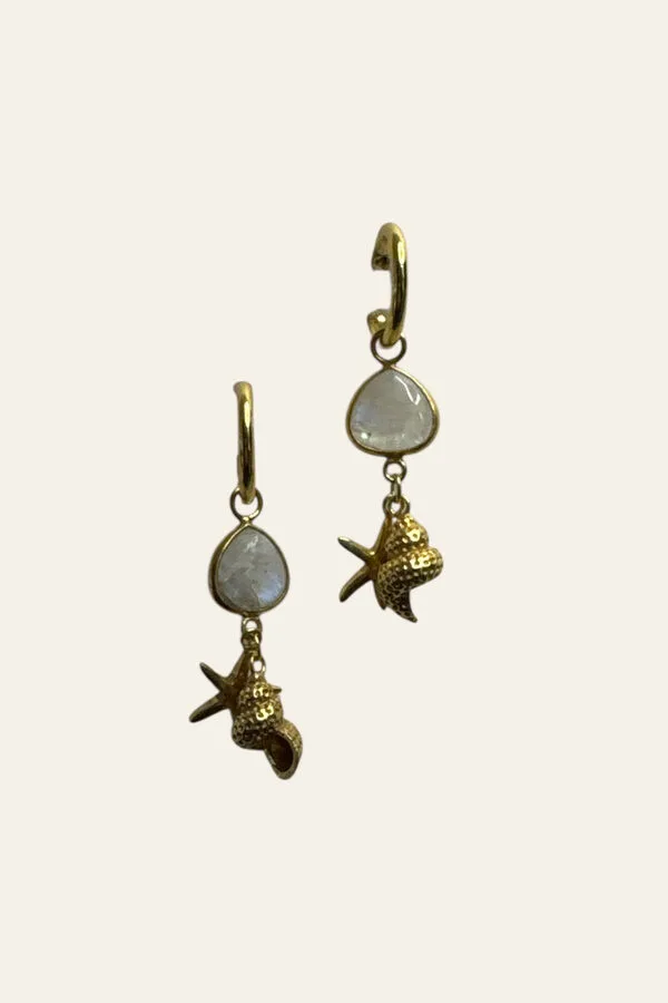 Earring Shell Star Gold White