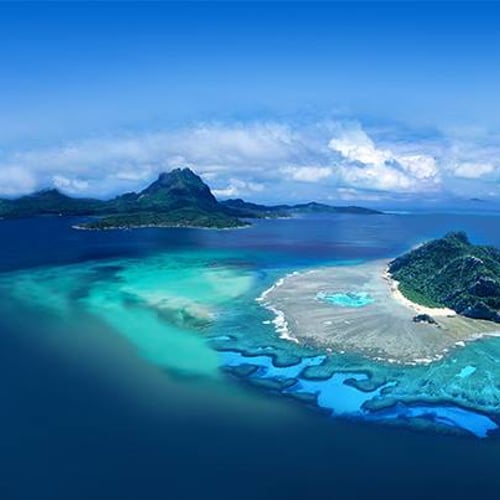 Body & Hair Wash Tiare - Hei Poa 4 Body & Hair Wash Tiare - Hei Poa – Bild 4